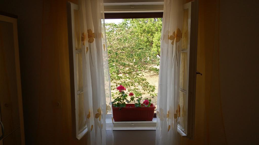 Apartment Karla Jadrtovac 部屋 写真